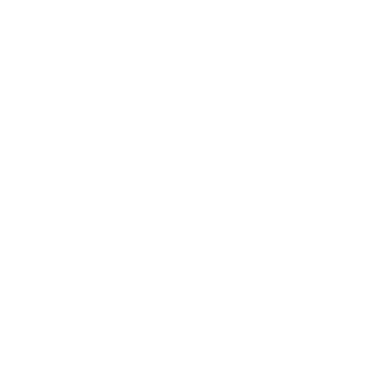 BuzzBoost